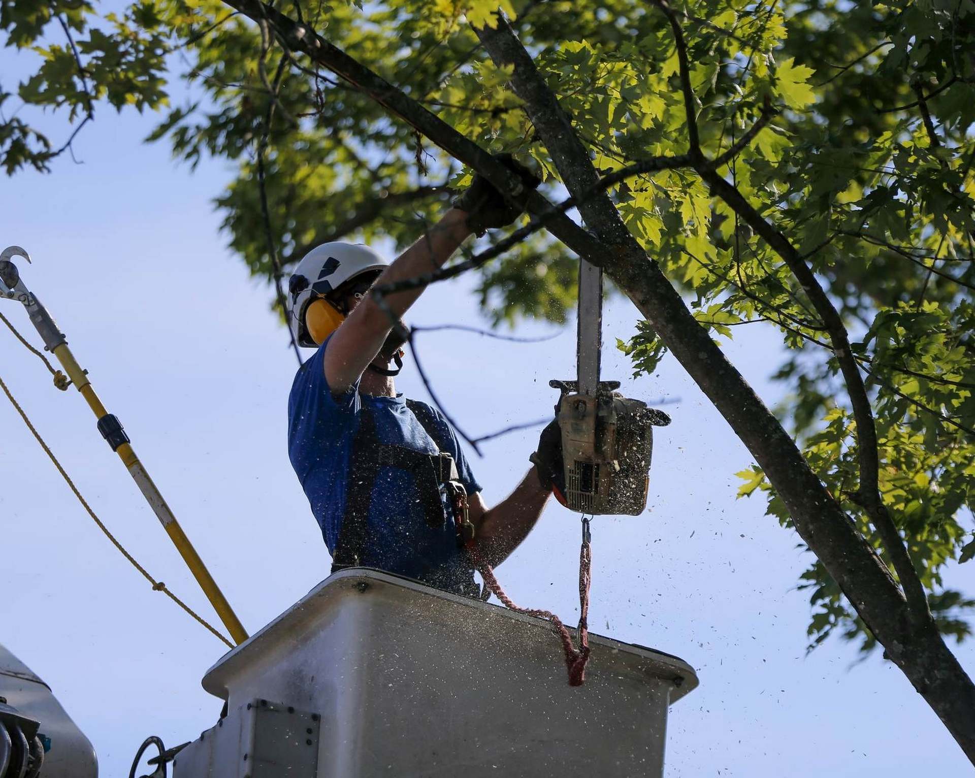 Entretien d'espaces verts Fleury-Merogis